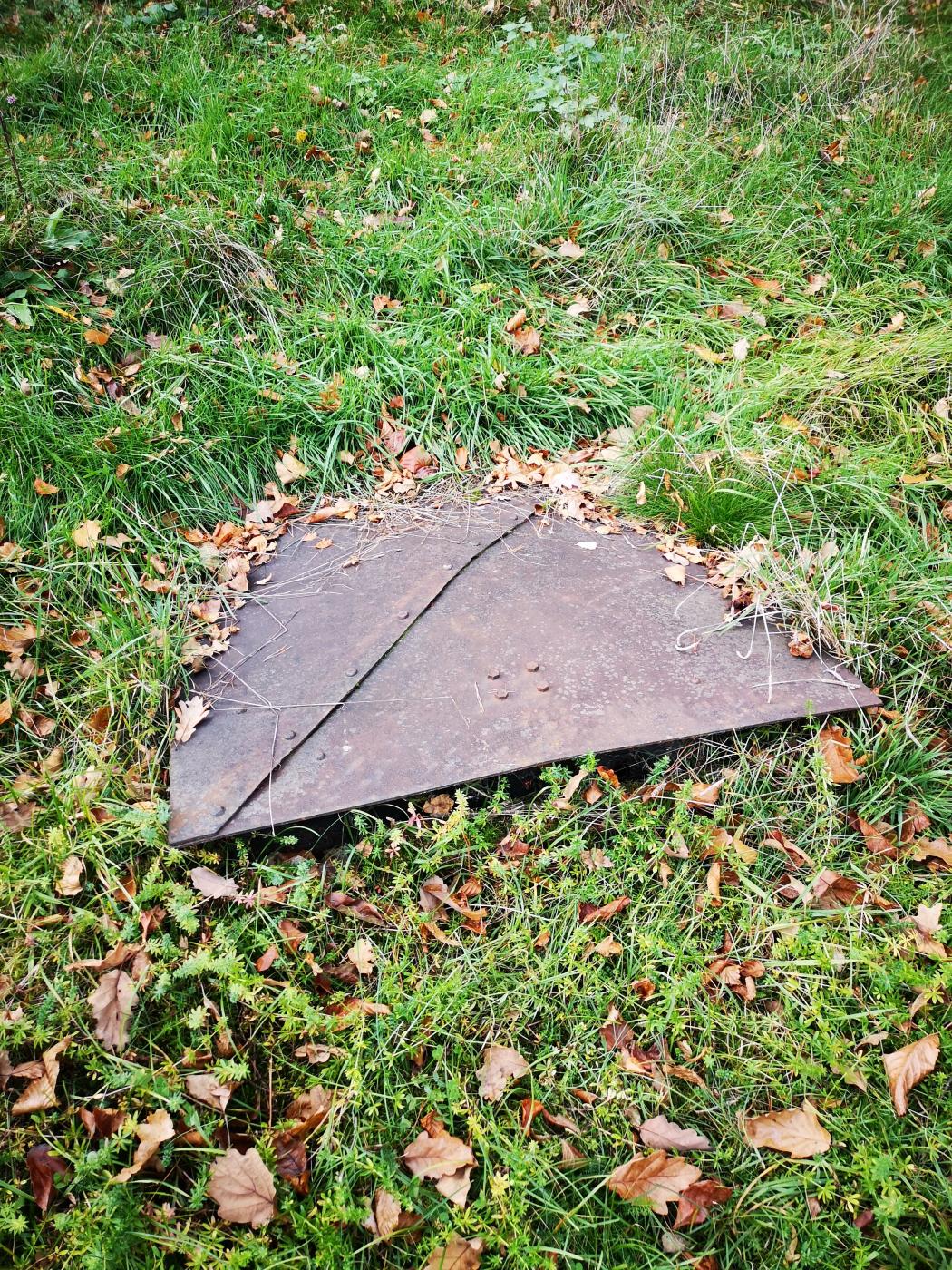Ligne Maginot - BV2 - (Chambre de coupure) - La chambre de coupure disparaît petit à petit dans les herbes d'un pré.
