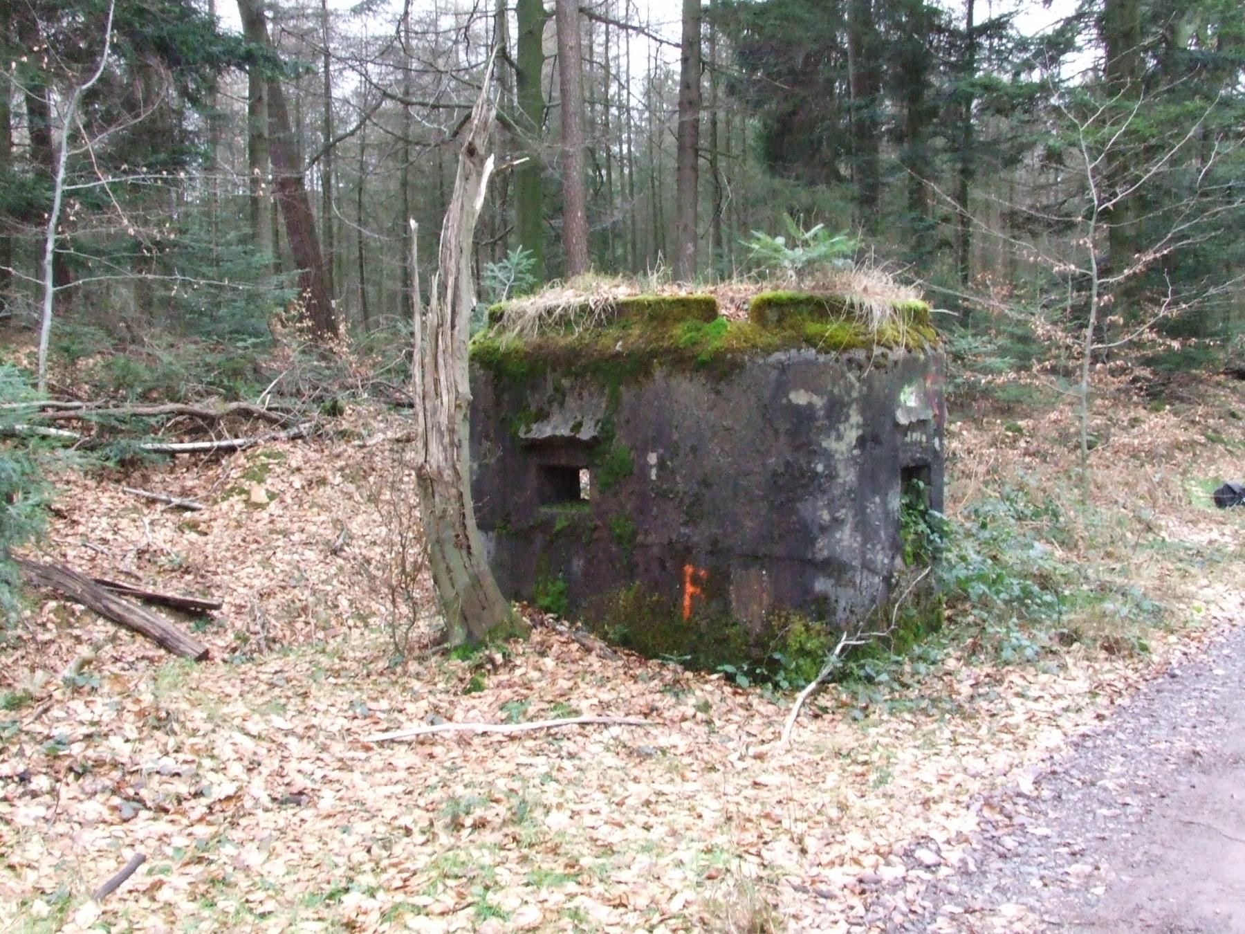 Ligne Maginot - SOULTZERKOPF 2 - (Blockhaus pour arme infanterie) -  - STENGER Mathieu