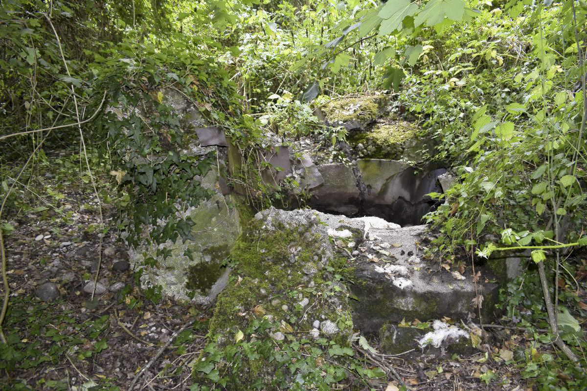 Ligne Maginot - LA BARONNIE 8 - (Blockhaus pour arme infanterie) -  - D. Froehly