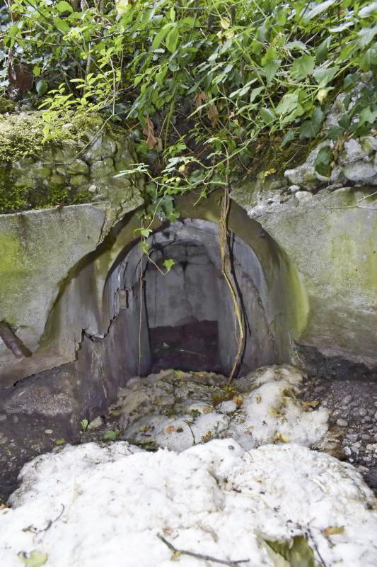 Ligne Maginot - LA BARONNIE 8 - (Blockhaus pour arme infanterie) -  - D. Froehly