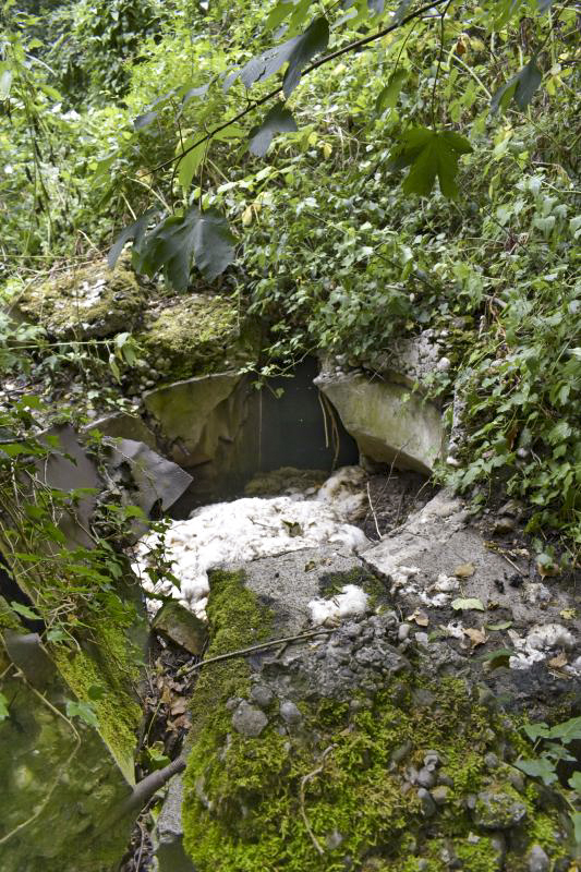 Ligne Maginot - LA BARONNIE 8 - (Blockhaus pour arme infanterie) -  - D. Froehly