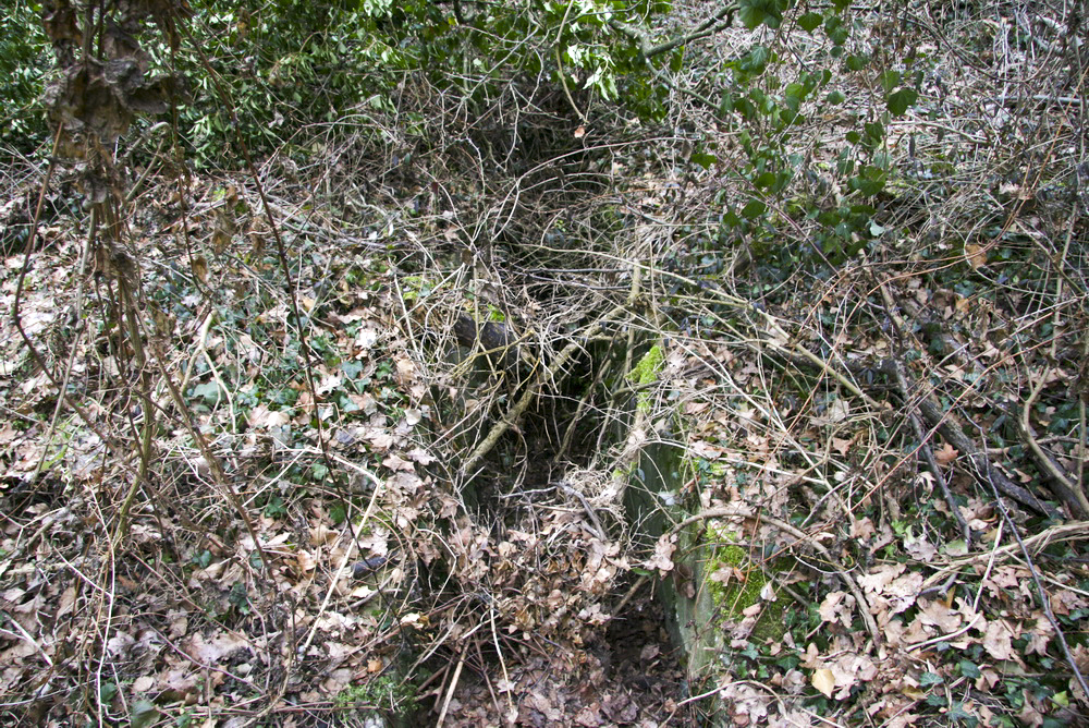 Ligne Maginot - LA BARONNIE 8 - (Blockhaus pour arme infanterie) - Entrée 2 - Alain Perouffe