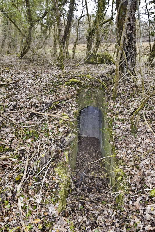 Ligne Maginot - OBERHARDTFELD 1 - (Blockhaus pour arme infanterie) - Entrée sud, vue de l’extérieur.