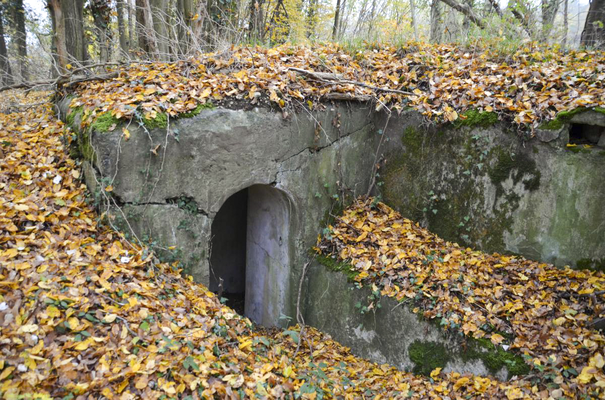 Ligne Maginot - OTTMARSHEIM SUD 1 - (Blockhaus pour arme infanterie) - Entrée 1 - D. Froehly
