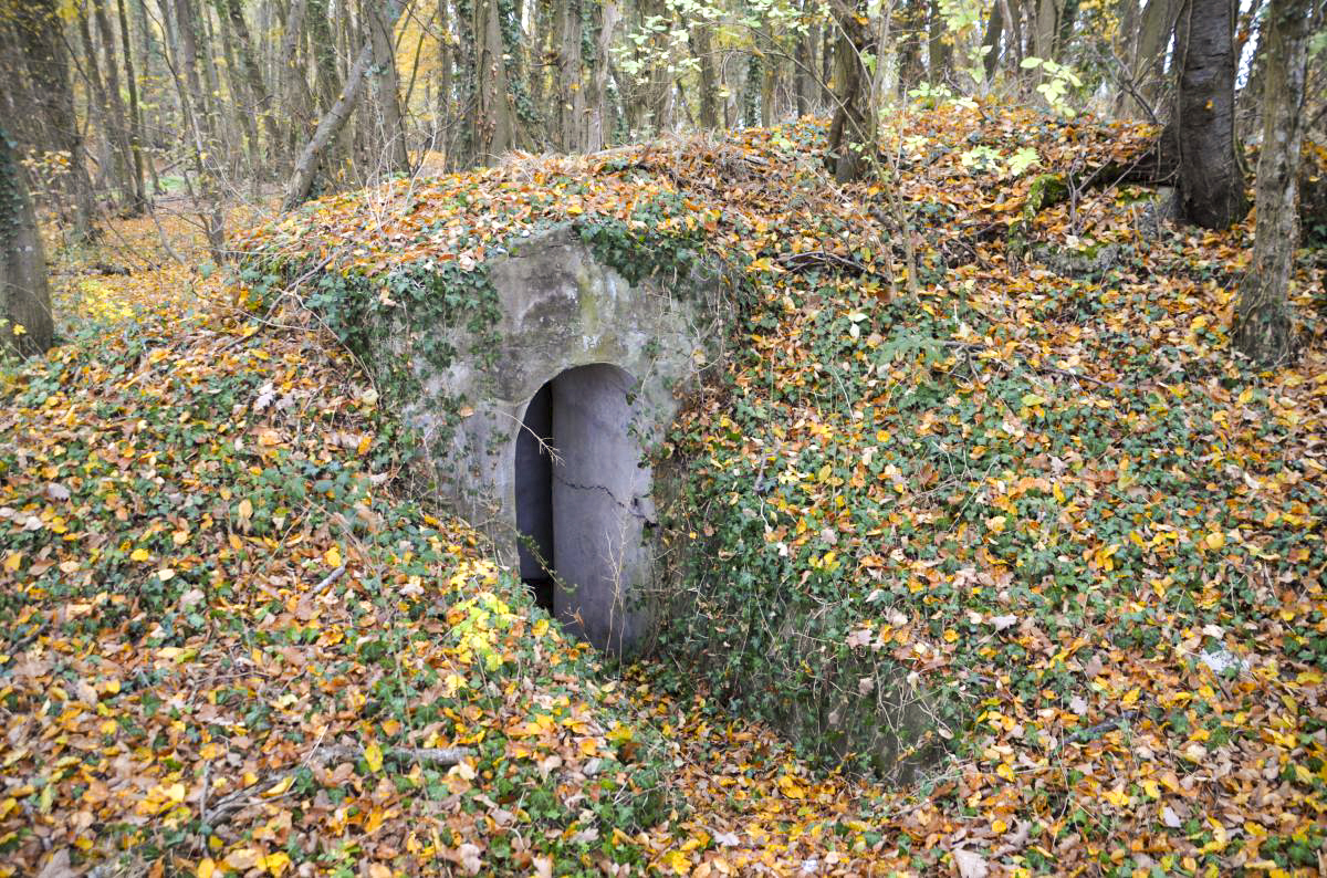 Ligne Maginot - OTTMARSHEIM SUD 1 - (Blockhaus pour arme infanterie) - Entrée 2 - D. Froehly