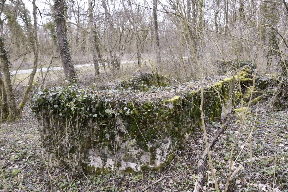 Ligne Maginot - RADBRUNNEN 2 - (Blockhaus pour canon) - Vue d'ensemble