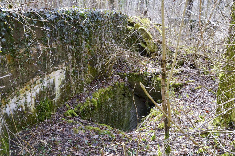 Ligne Maginot - RADBRUNNEN 2 - (Blockhaus pour canon) - Entrée nord - D. Froehly