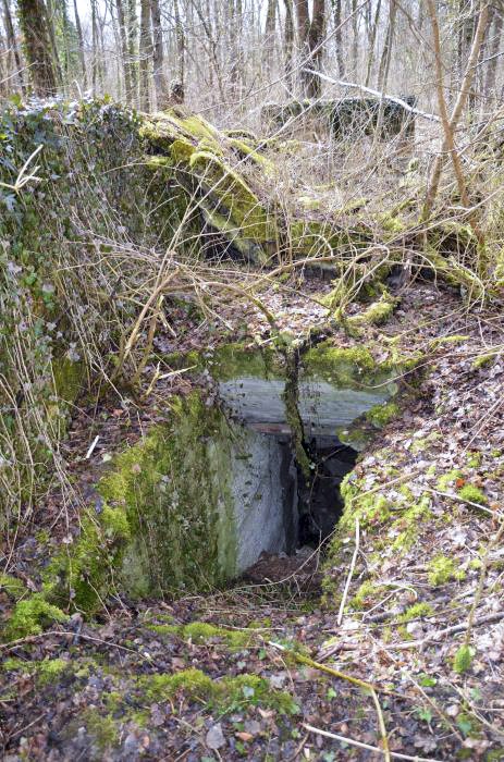 Ligne Maginot - RADBRUNNEN 2 - (Blockhaus pour canon) - Entrée nord, avec son escalier - D. Froehly