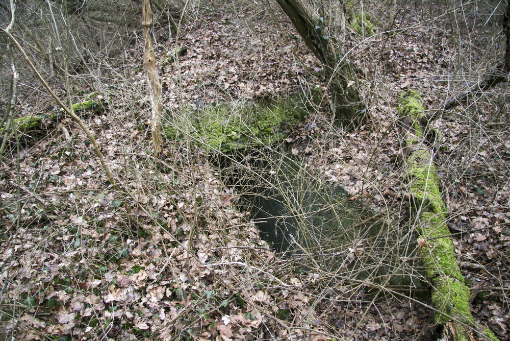 Ligne Maginot - STATION DE BANTZENHEIM 6 - (Abri) - Entrée 1