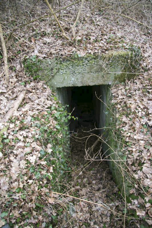 Ligne Maginot - STATION DE BANTZENHEIM 6 - (Abri) - Entrée 2