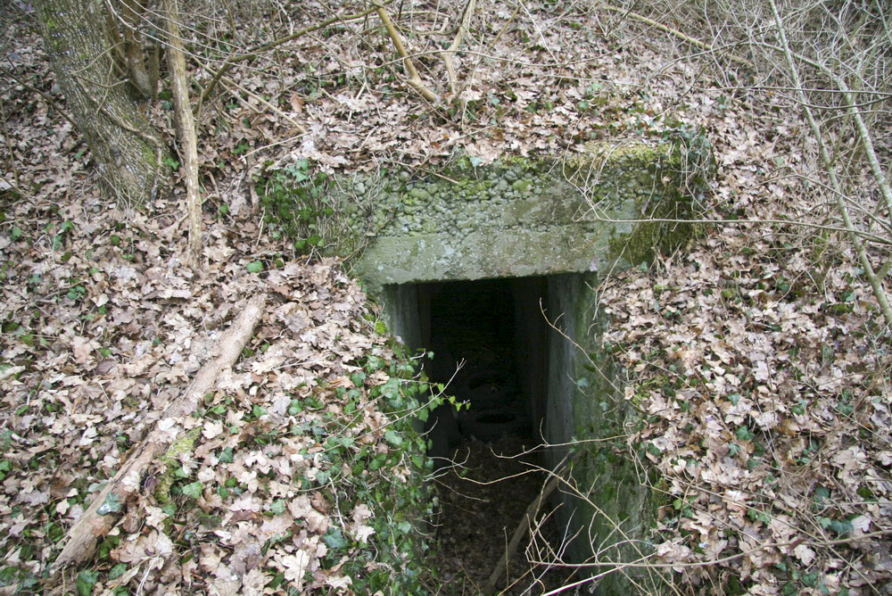 Ligne Maginot - STATION DE BANTZENHEIM 6 - (Abri) - Entrée 2
