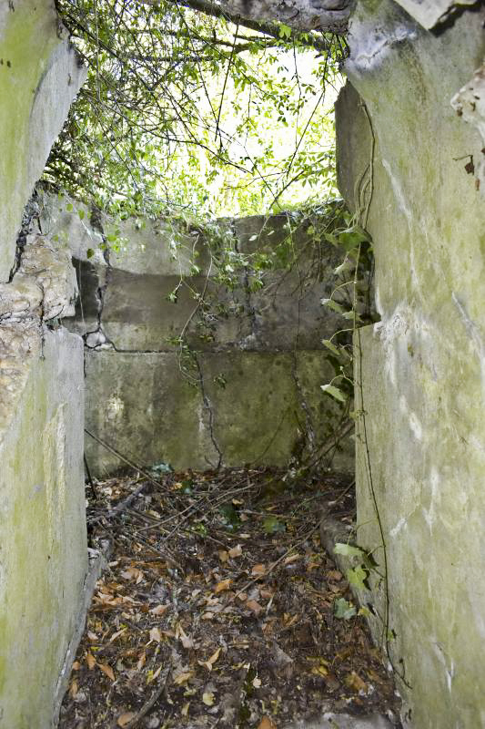 Ligne Maginot - STATION DE BANTZENHEIM 5 - (Cuve pour arme d'infanterie) - Cuve pour TD