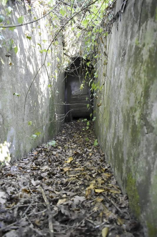 Ligne Maginot - STATION DE BANTZENHEIM 5 - (Cuve pour arme d'infanterie) - Entrée nord