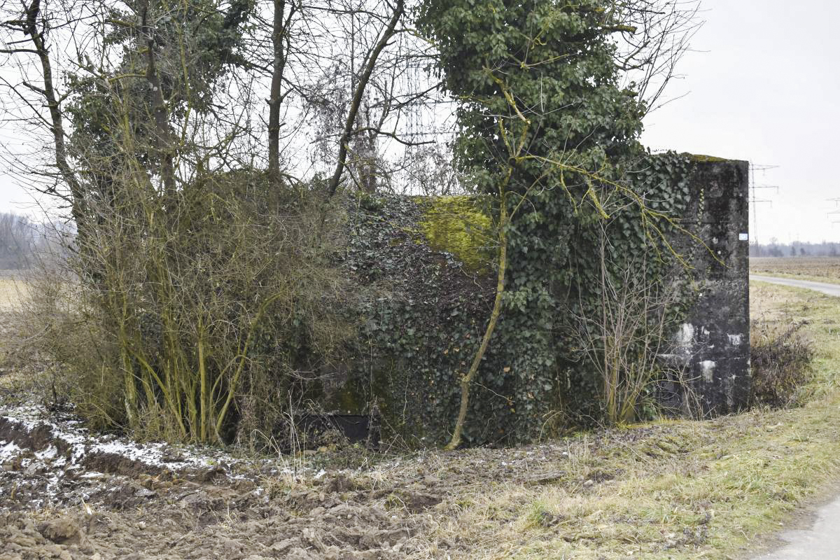 Ligne Maginot - BRIGGMATTEN EST - (Blockhaus pour canon) - Coté nord avec les entrées