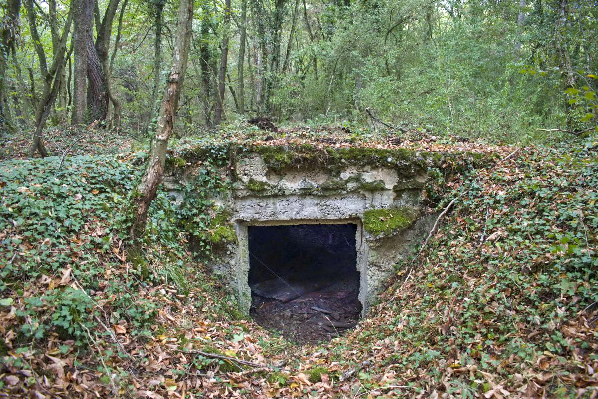 Ligne Maginot - KEMBS - (Dépôt de Munitions) - L'abri, entrée sud - D.Froehly