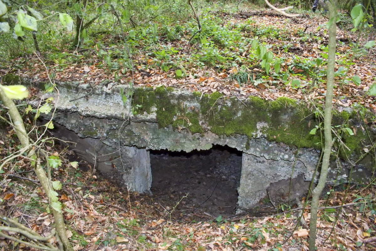 Ligne Maginot - KEMBS - (Dépôt de Munitions) - L'abri, entrée nord - D.Froehly