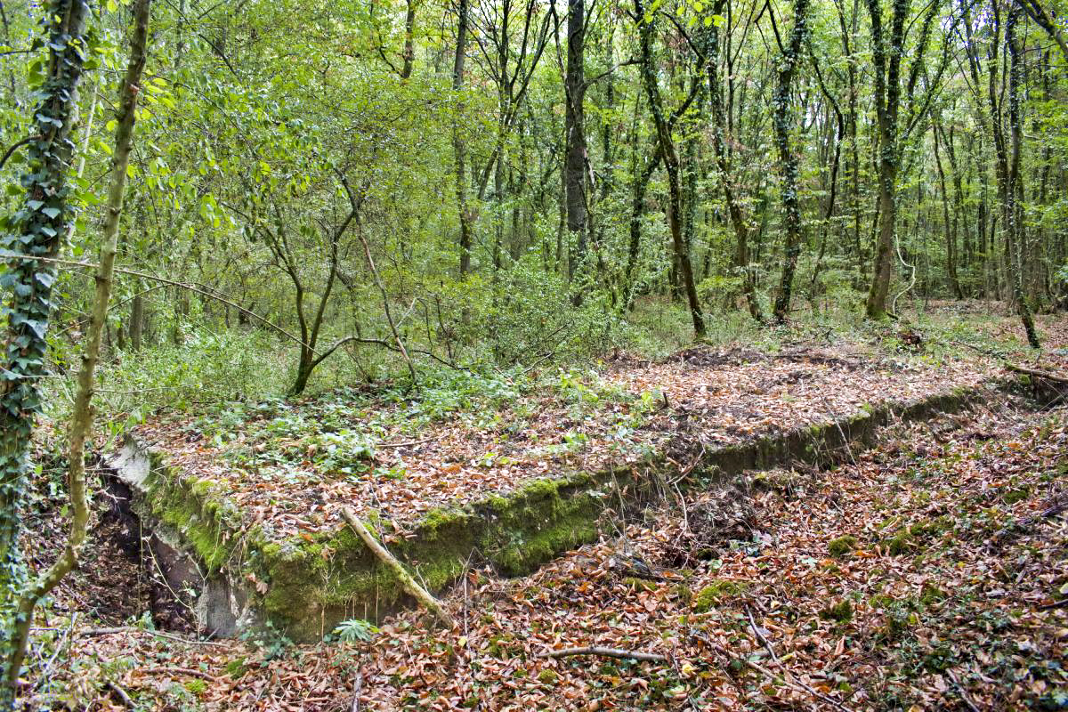 Ligne Maginot - KEMBS - (Dépôt de Munitions) - Vue du dessus depuis le coté nord - D.Froehly