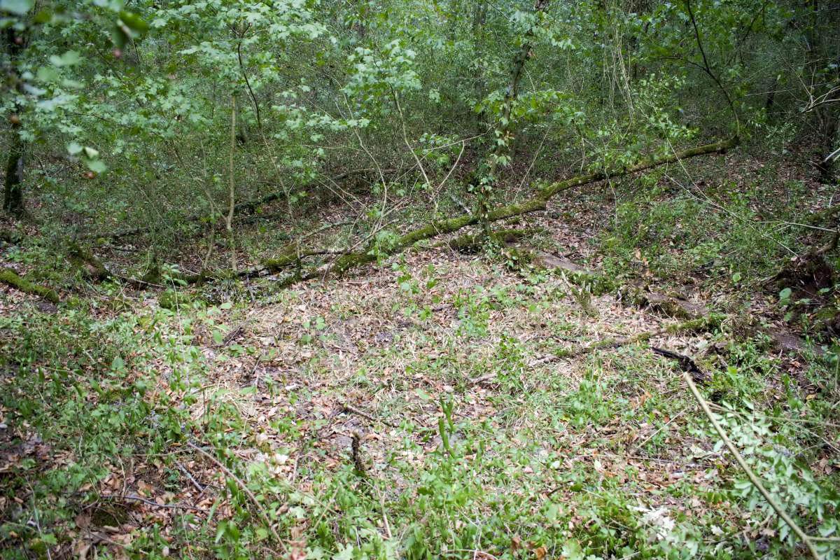 Ligne Maginot - KEMBS - (Dépôt de Munitions) - Emplacement de la construction annexe - D.Froehly