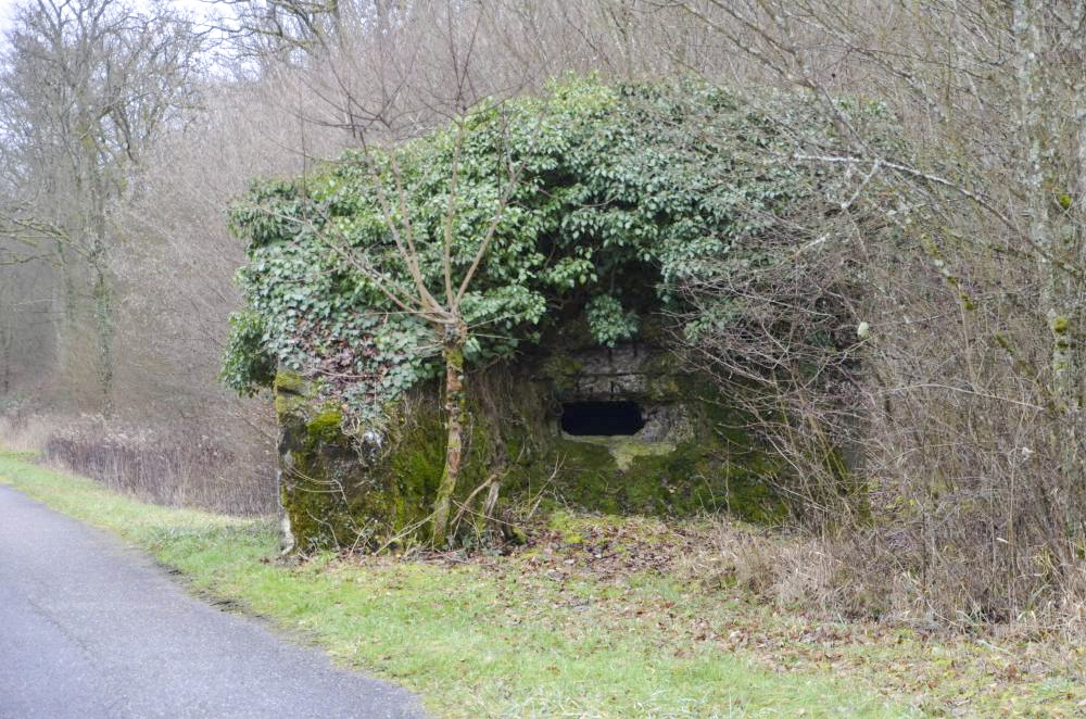 Ligne Maginot - KATZENPFAD - (Blockhaus pour arme infanterie) - Vue de la façade coté nord avec le créneau de tir - D. Froehly