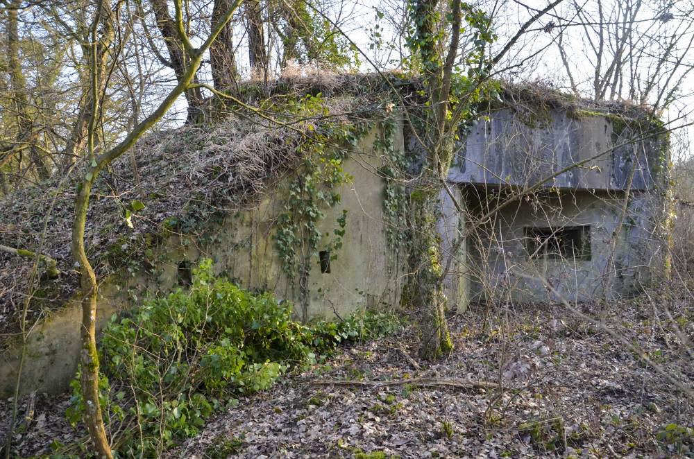Ligne Maginot - 181 - KEMBS NORD 2 - (Blockhaus pour arme infanterie) - Vue sur le créneau mitrailleuse