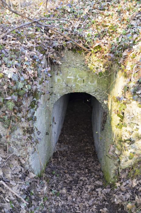 Ligne Maginot - KEMBS NORD 1 - (Blockhaus pour arme infanterie) - 