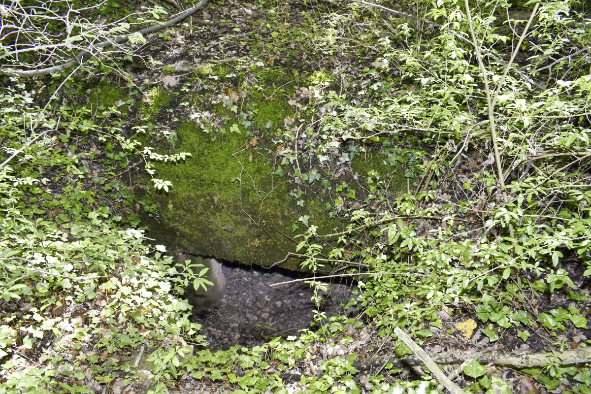 Ligne Maginot - KOETZINGUE 1 - (Blockhaus pour canon) - Entrée - D. Froehly