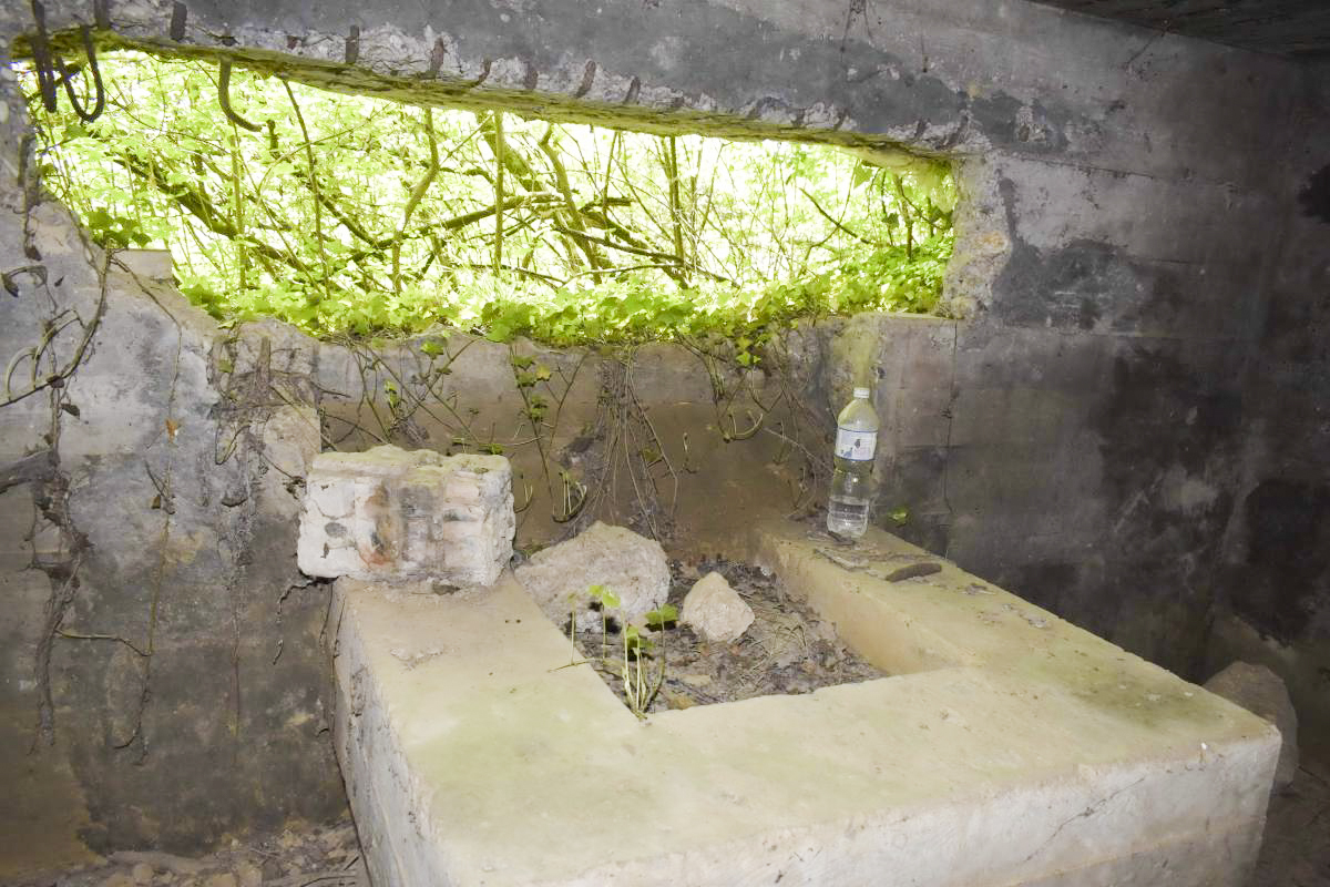 Ligne Maginot - KOETZINGUE 1 - (Blockhaus pour canon) - Support du canon - D. Froehly