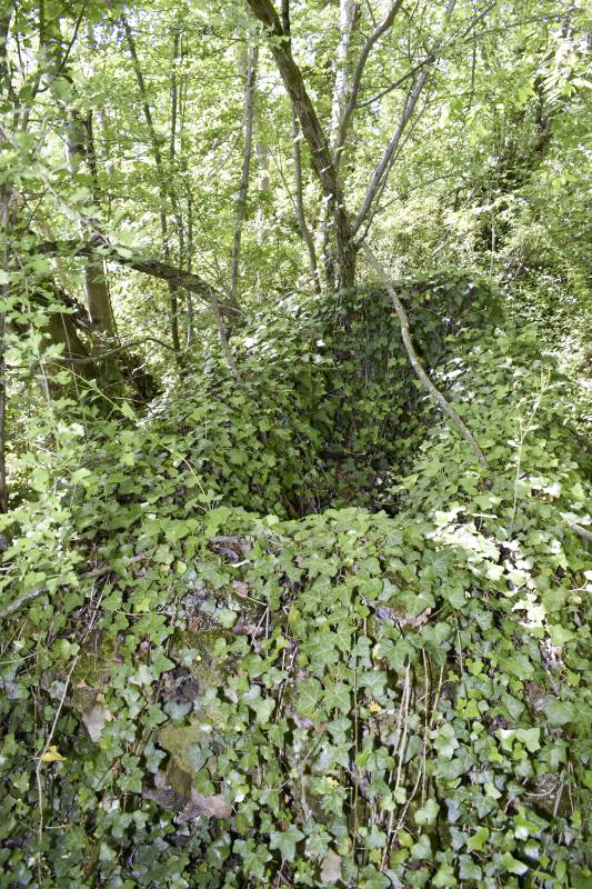 Ligne Maginot - KOETZINGUE 1 - (Blockhaus pour canon) - Abreuvoir a coté du blockhaus - D. Froehly