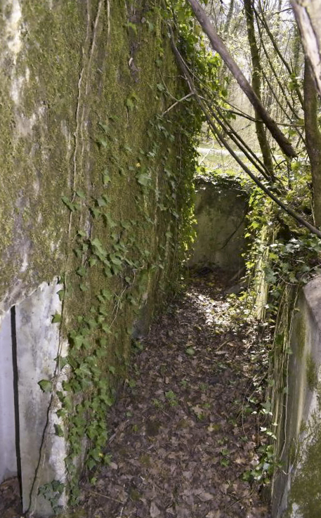 Ligne Maginot - PA DU CARREFOUR 243-1 - (Blockhaus pour canon) - Côté ouest - tranchée vers l'entrée des hommes
