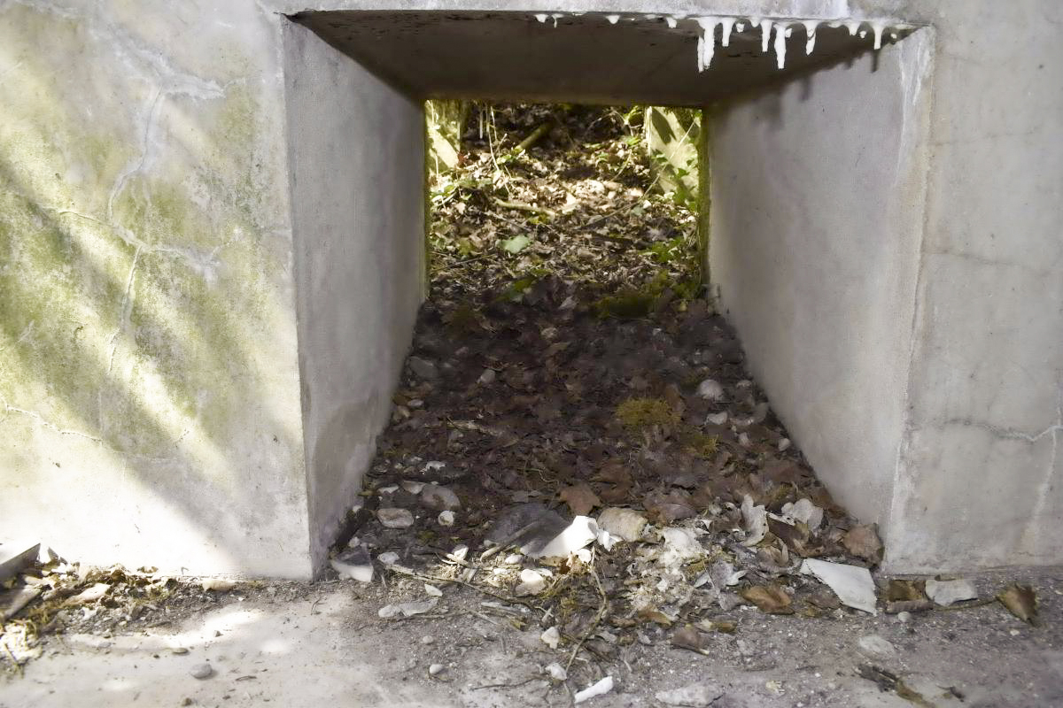 Ligne Maginot - PA DU CARREFOUR 243-1 - (Blockhaus pour canon) - Ouverture donnant sur la niche a munitions depuis l’extérieur.
