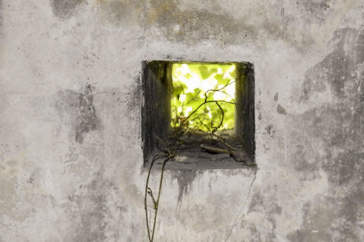 Ligne Maginot - PA DU CARREFOUR 243-1 - (Blockhaus pour canon) - Créneau fusil - D. Froehly