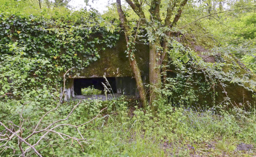 Ligne Maginot - CARREFOUR 237 - (Blockhaus pour canon) - Vue sur le créneau de tir, et en arrière plan l'entrée matériel - D. Froehly