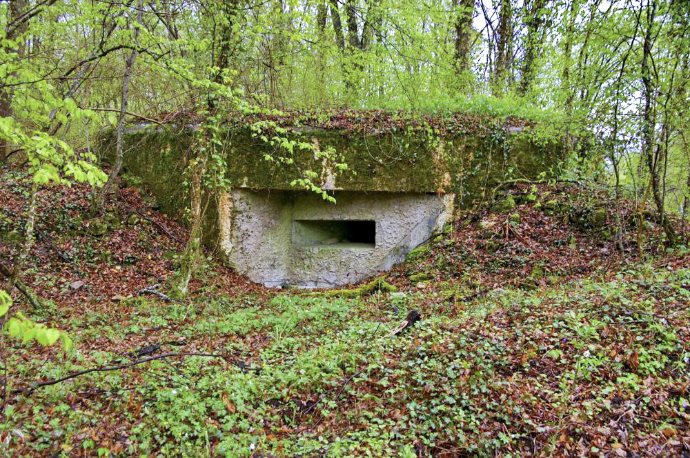 Ligne Maginot - PA DU CARREFOUR 248-4 - (Blockhaus pour arme infanterie) - Blockhaus avec deux créneaux de tir protégeant la route forestière vers le nord et vers le sud. L'entrée donne sur l'ouest