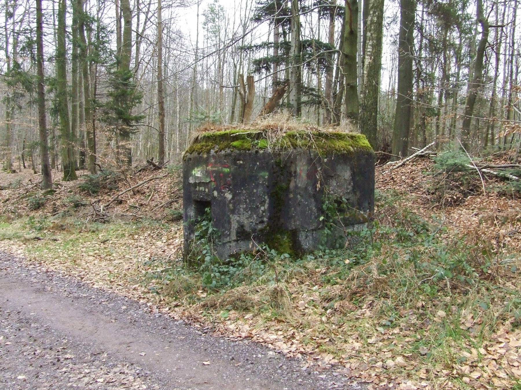 Ligne Maginot - SOULTZERKOPF 2 - (Blockhaus pour arme infanterie) -  - STENGER Mathieu