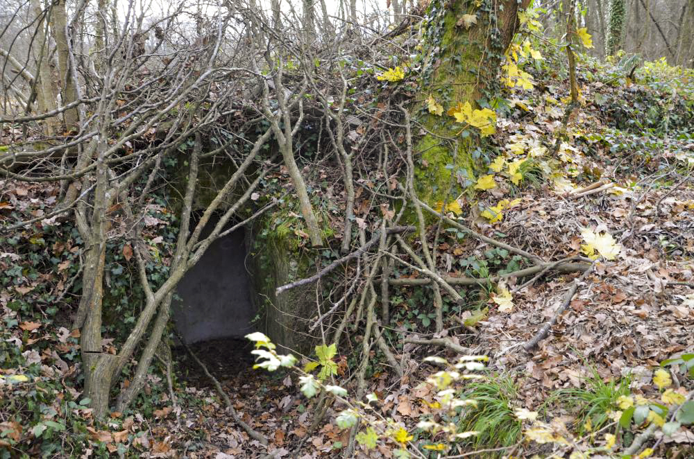 Ligne Maginot - PA DU CARREFOUR 252-1 - (Blockhaus pour arme infanterie) - Entrée de l'abri, les nettoyeurs étaient déjà passés pour ouvrir l'entrée.