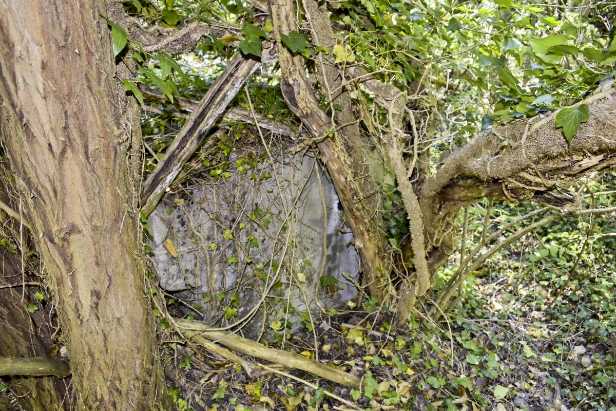 Ligne Maginot - PA PETIT-LANDAU 10 - (Abri) - Bac à eau avec une prise pour pomper l’eau dans la nappe phréatique