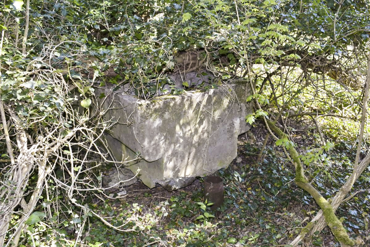 Ligne Maginot - PA PETIT-LANDAU 10 - (Abri) - Bac à eau avec une prise pour pomper l’eau dans la nappe phréatique