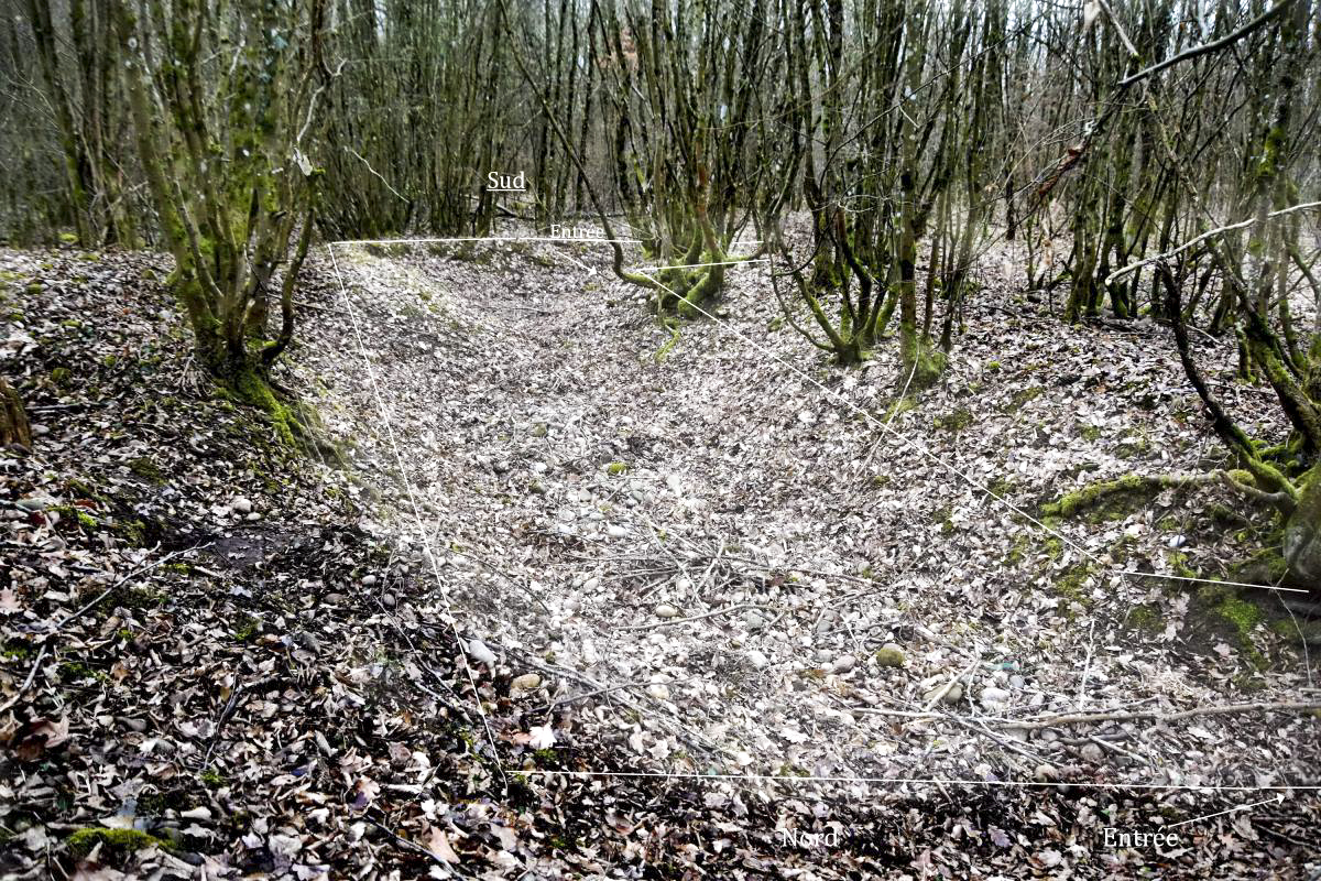 Ligne Maginot - PETIT-LANDAU OUEST 2 - (Abri) - Vue de l'emplacement et l'excavation de l'abri. Sens nord-sud - Daniel Froehly