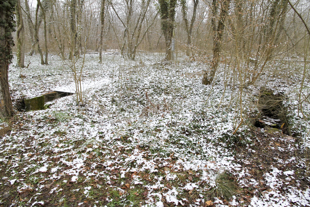 Ligne Maginot - SCHLOSSWEG NORD-OUEST (II/10° RIF ET 8° BM) - (PC de Quartier) - Abri à deux entrées