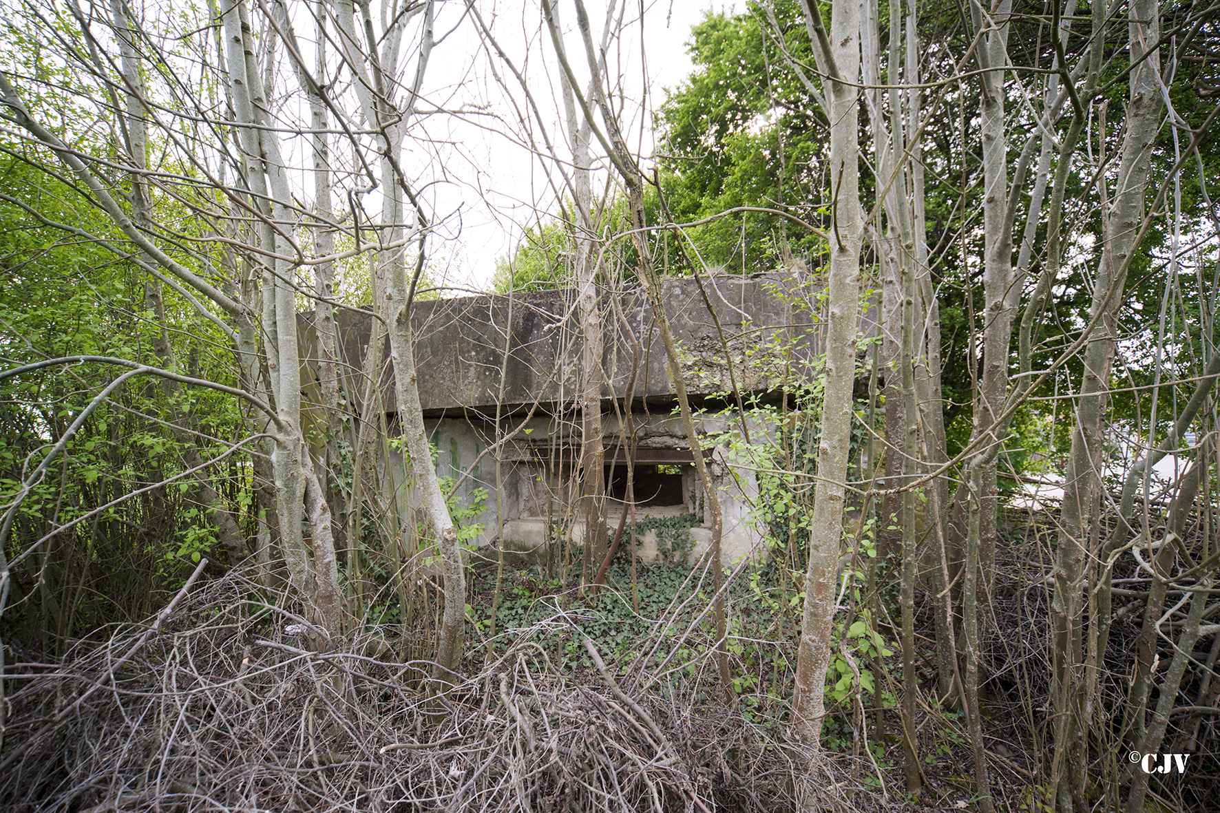 Ligne Maginot - RICHTOLSHEIM 3 - (Blockhaus pour canon) - 