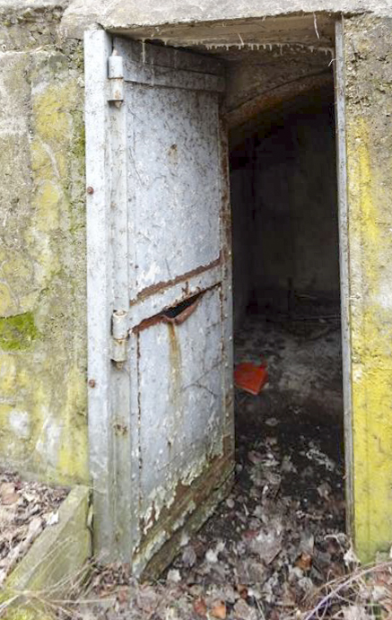 Ligne Maginot - H8 - BALTZENHEIM SUD EST - (Blockhaus pour arme infanterie) - 