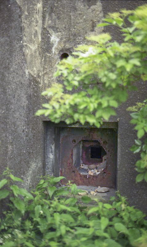 Ligne Maginot - 49/3 - BALGAU SUD - (Casemate d'infanterie - double) - La casemate en 1999