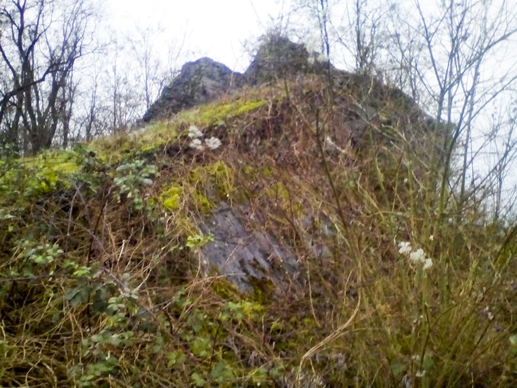 Ligne Maginot - 47/3 - NAMBSHEIM NORD - (Casemate d'infanterie - Double) - 