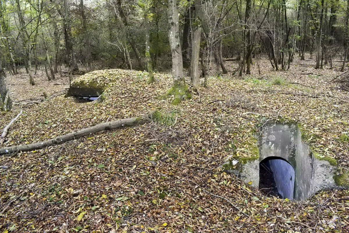 Ligne Maginot - BOIS DE DESSENHEIM CENTRE 3 - (Blockhaus pour arme infanterie) - Vue d'ensemble