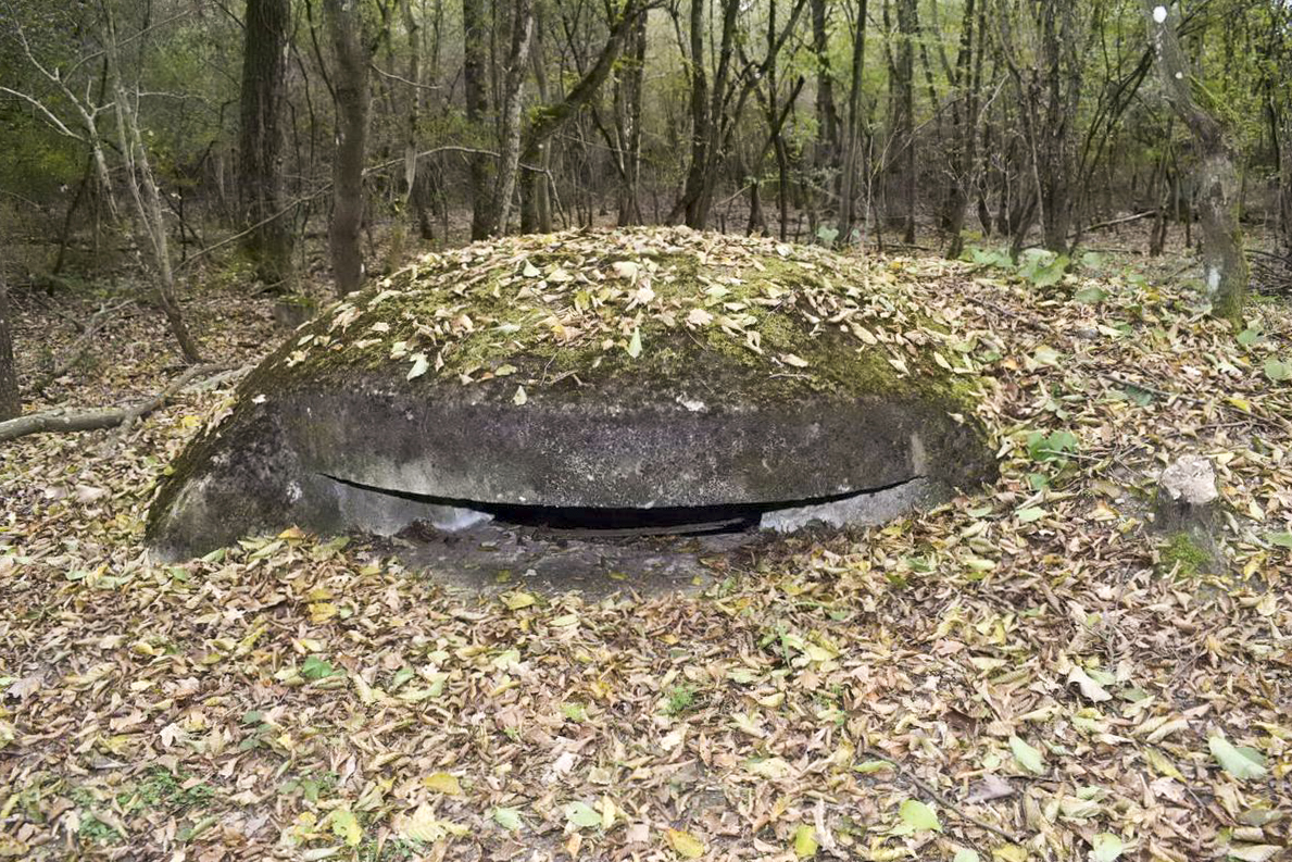 Ligne Maginot - BOIS DE DESSENHEIM CENTRE 3 - (Blockhaus pour arme infanterie) - Coupole