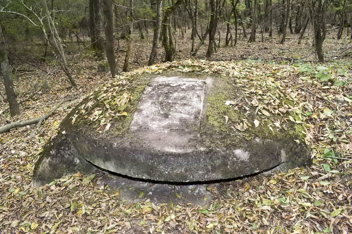 Ligne Maginot - BOIS DE DESSENHEIM CENTRE 3 - (Blockhaus pour arme infanterie) - Coupole sans le cartouche du régiment