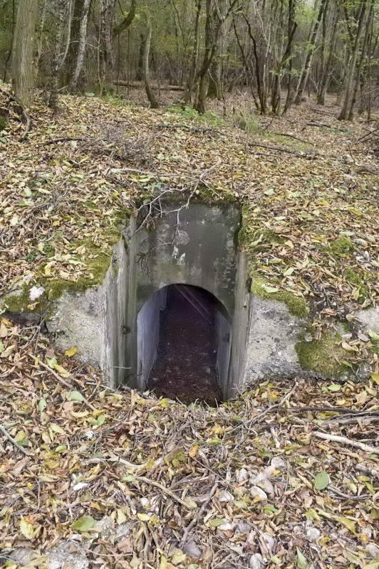 Ligne Maginot - BOIS DE DESSENHEIM CENTRE 3 - (Blockhaus pour arme infanterie) - L'entrée