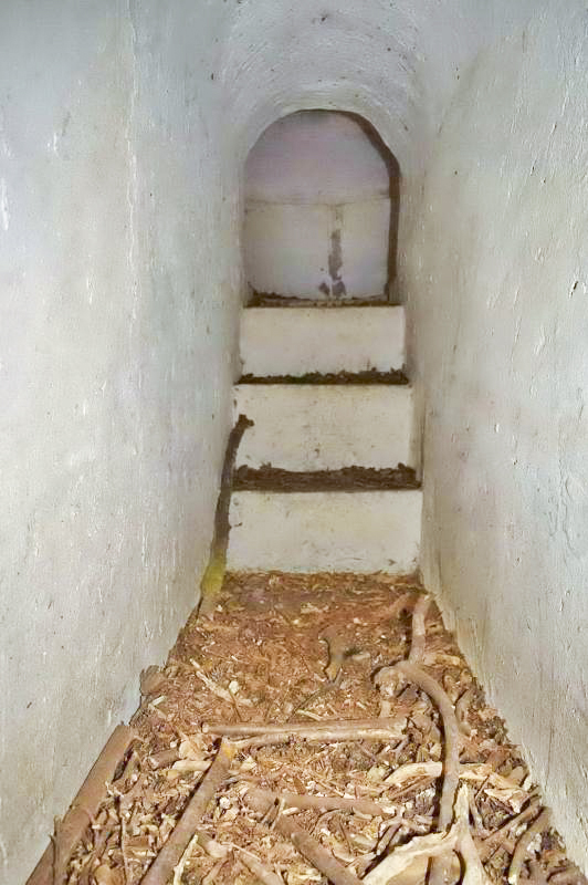 Ligne Maginot - BOIS DE DESSENHEIM CENTRE 3 - (Blockhaus pour arme infanterie) - Couloir vers la coupole
