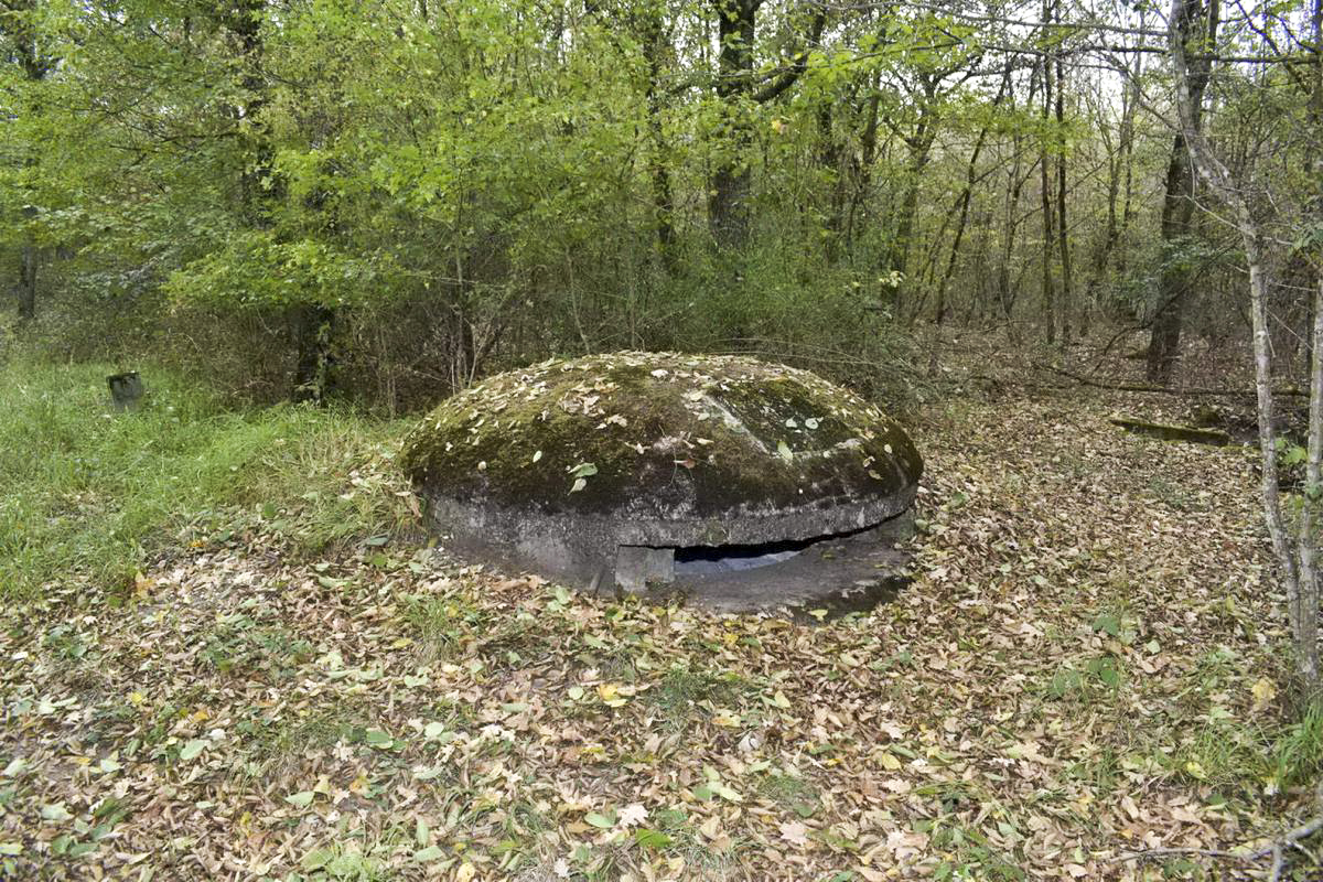 Ligne Maginot - BOIS DE DESSENHEIM CENTRE 2 - (Blockhaus pour arme infanterie) - Coupole et l'entrée au fond à droite