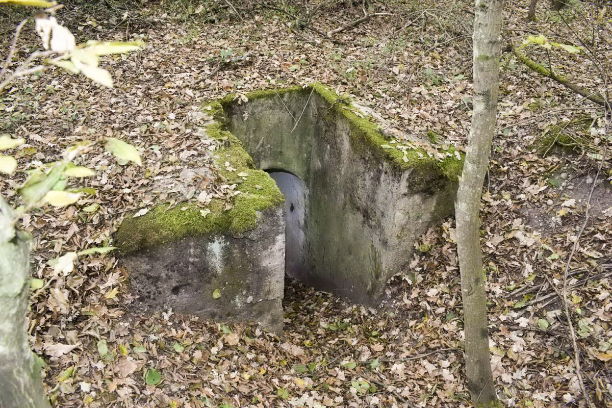 Ligne Maginot - BOIS DE DESSENHEIM CENTRE 2 - (Blockhaus pour arme infanterie) - L'entrée - D.Froehly
